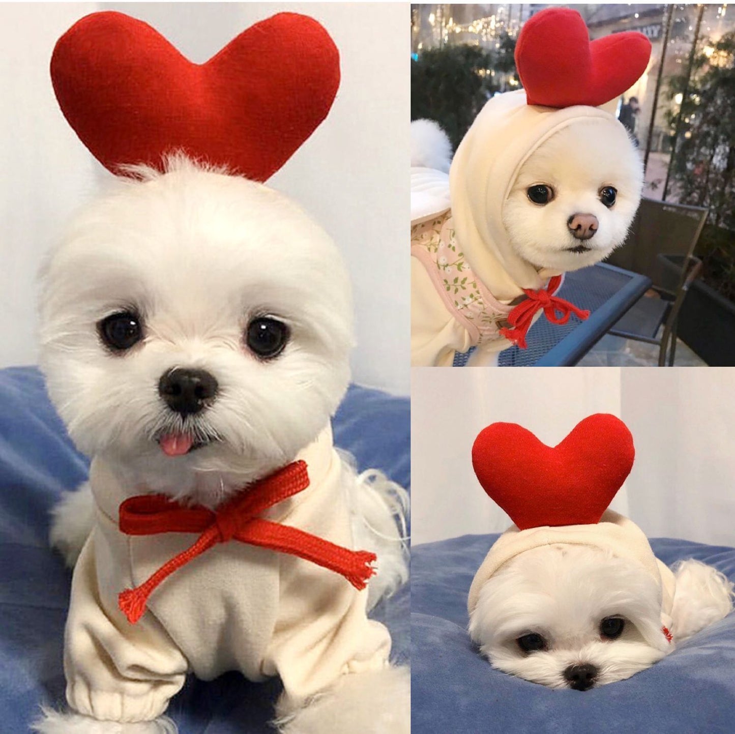 Cute Fruit Dog Clothes For Small Dogs Hoodies Winter Warm Fleece Pet Clothing Puppy Cat Costume Coat For French Chihuahua Outfit - Keep Me Pawsted
