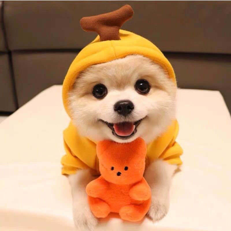 Cute Fruit Dog Clothes For Small Dogs Hoodies Winter Warm Fleece Pet Clothing Puppy Cat Costume Coat For French Chihuahua Outfit - Keep Me Pawsted