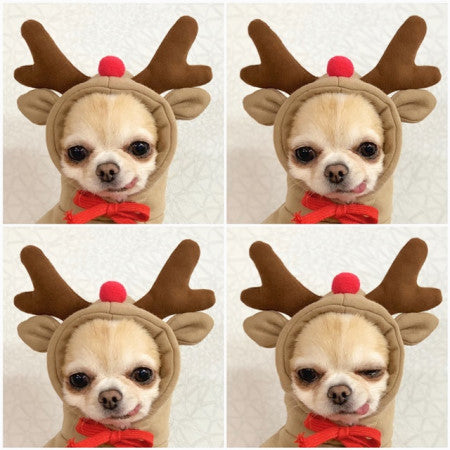 Cute Fruit Dog Clothes For Small Dogs Hoodies Winter Warm Fleece Pet Clothing Puppy Cat Costume Coat For French Chihuahua Outfit - Keep Me Pawsted