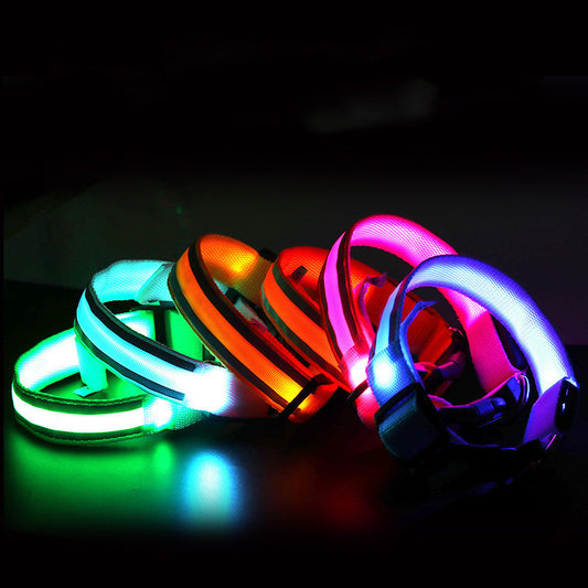 Anti-lost Led Luminous Dog Collar Pet Supplies - Keep Me Pawsted